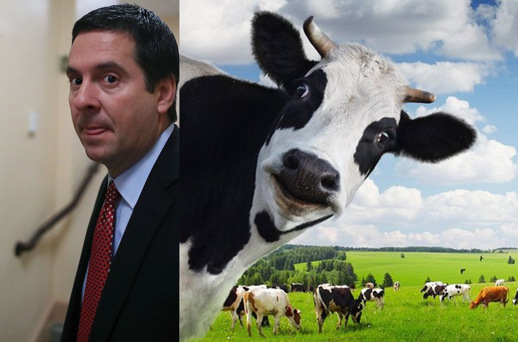 Devin Nunes vs Devin Nunes' Cow