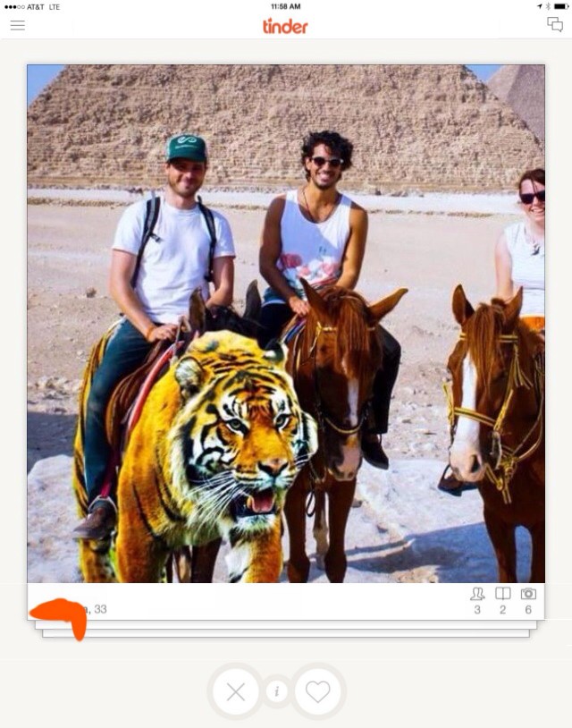 Selfie of the friends riding horses and a tiger in Egypt