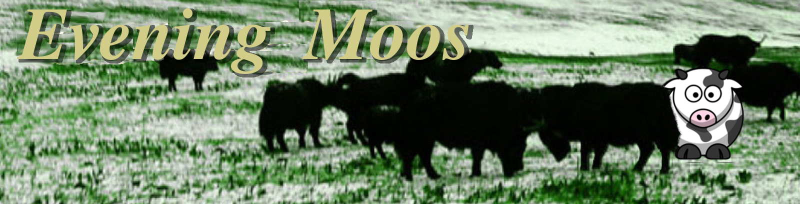 Evening Moos Welcome Image